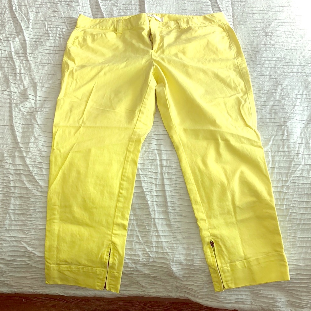 Stylish Ann Taylor Dress Pants